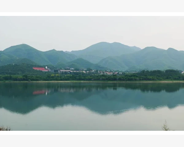 健脾养胃必备蔬菜推荐，助你轻松打造健康生活！